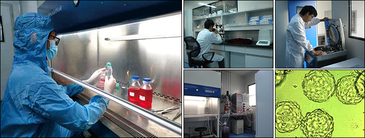 R&D Center