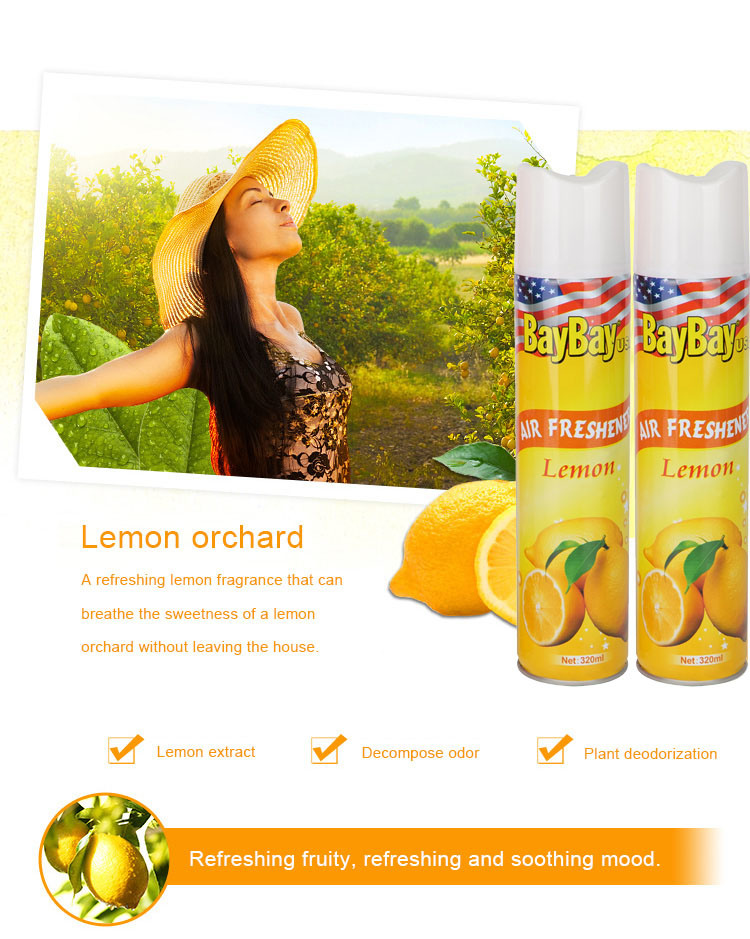 Air Freshener Details 3