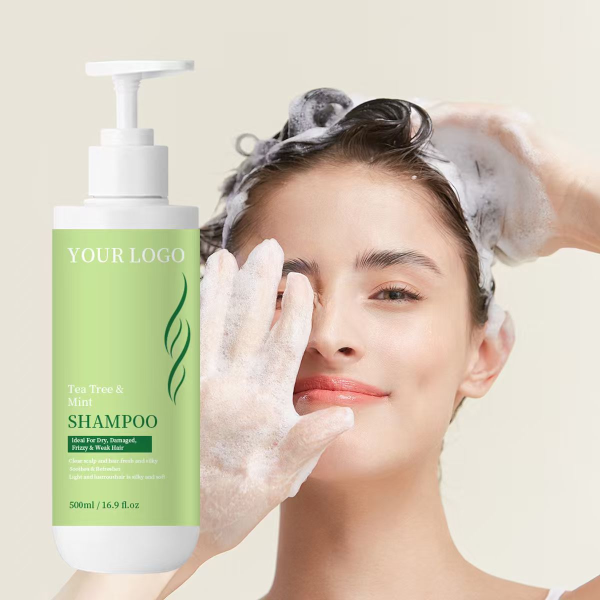 OEM ODM Mint &amp; Tea Tree Shampoo with Anti-Dandruff &amp; Scalp Treatment for Oily Hair, Factory Price