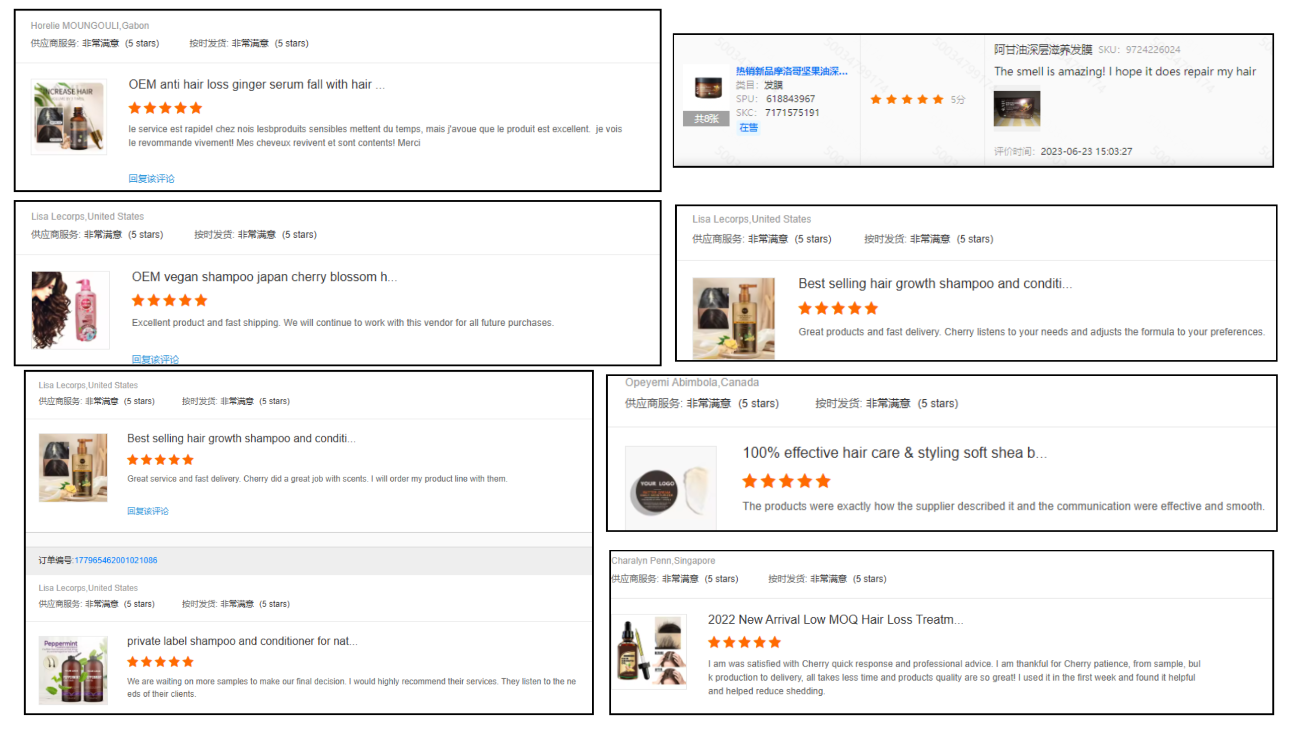 Customer Review 1
