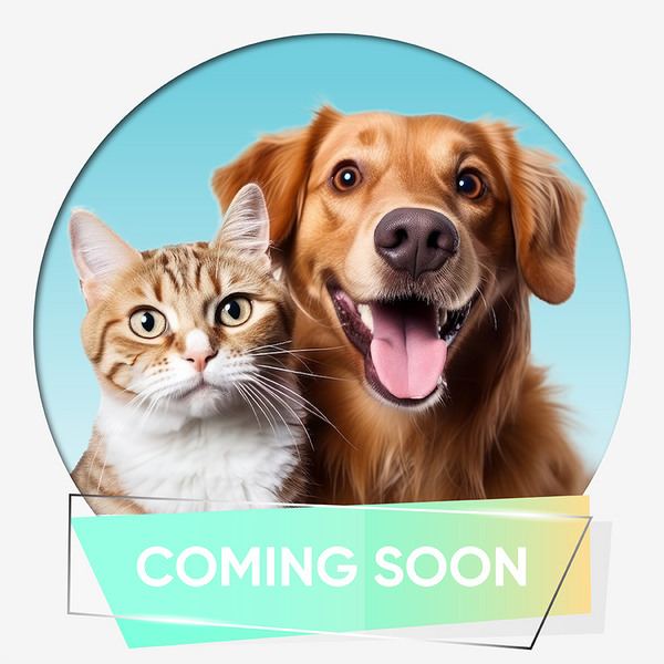 Veterinary-grade pet shampoos and grooming sprays
