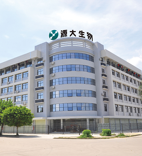 Company Overview