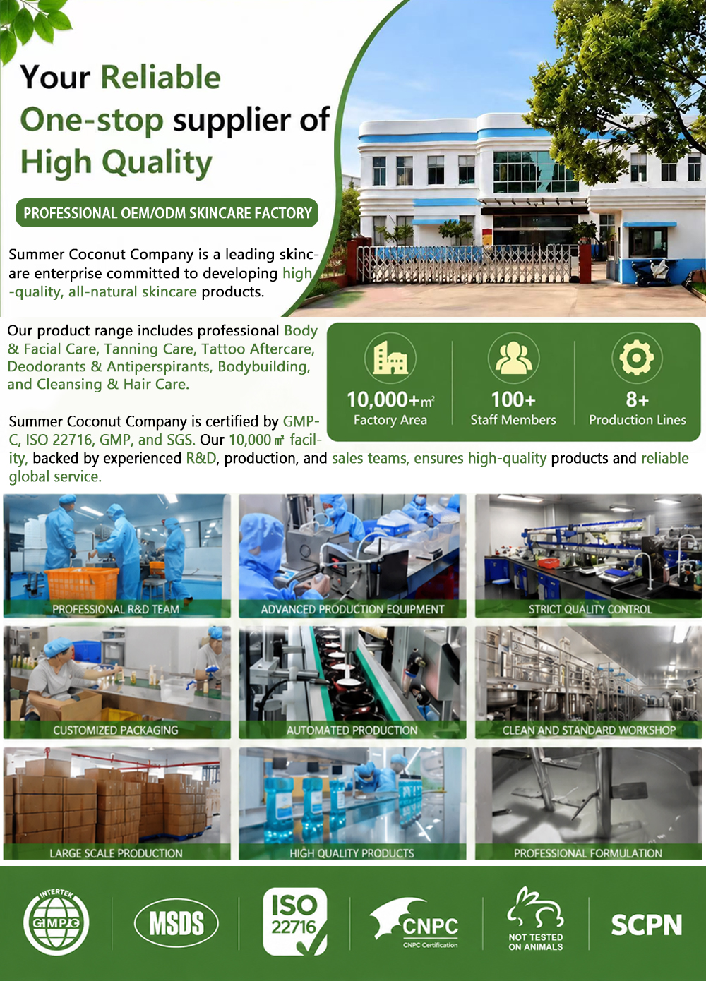 Private Label Organic Ginseng Shampoo Hyaluronic Acid Sulfate Free Moisturizing Smoothing Hair Wash Wholesale Manufacturer