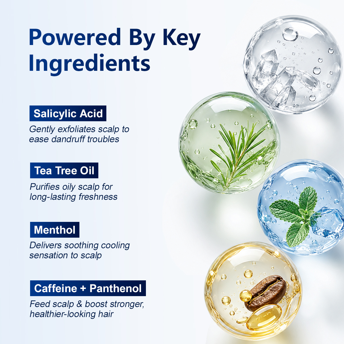 Private Label Dandruff Scalp Treatment Men Shampoo for Anti-Itch Organic Salicylic Acid Anti Dandruff Shampoo White Label
