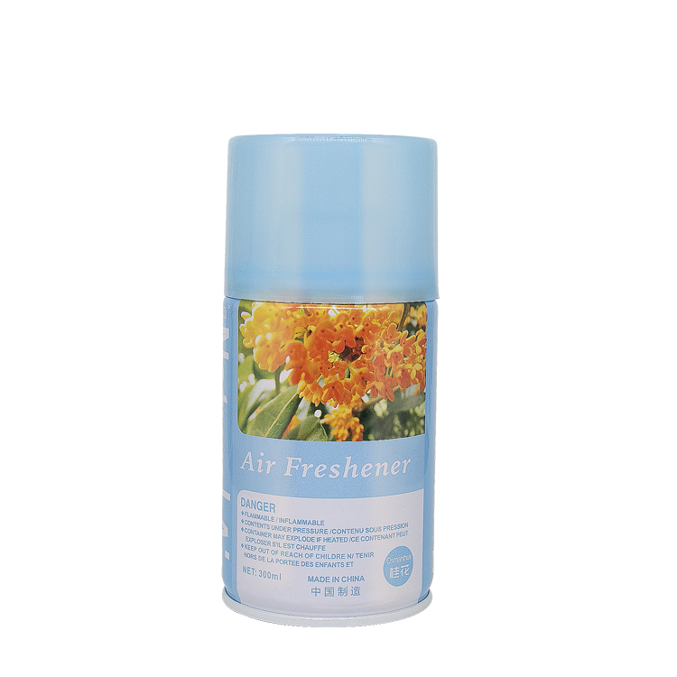 Customized Air Freshener Cans Presentation