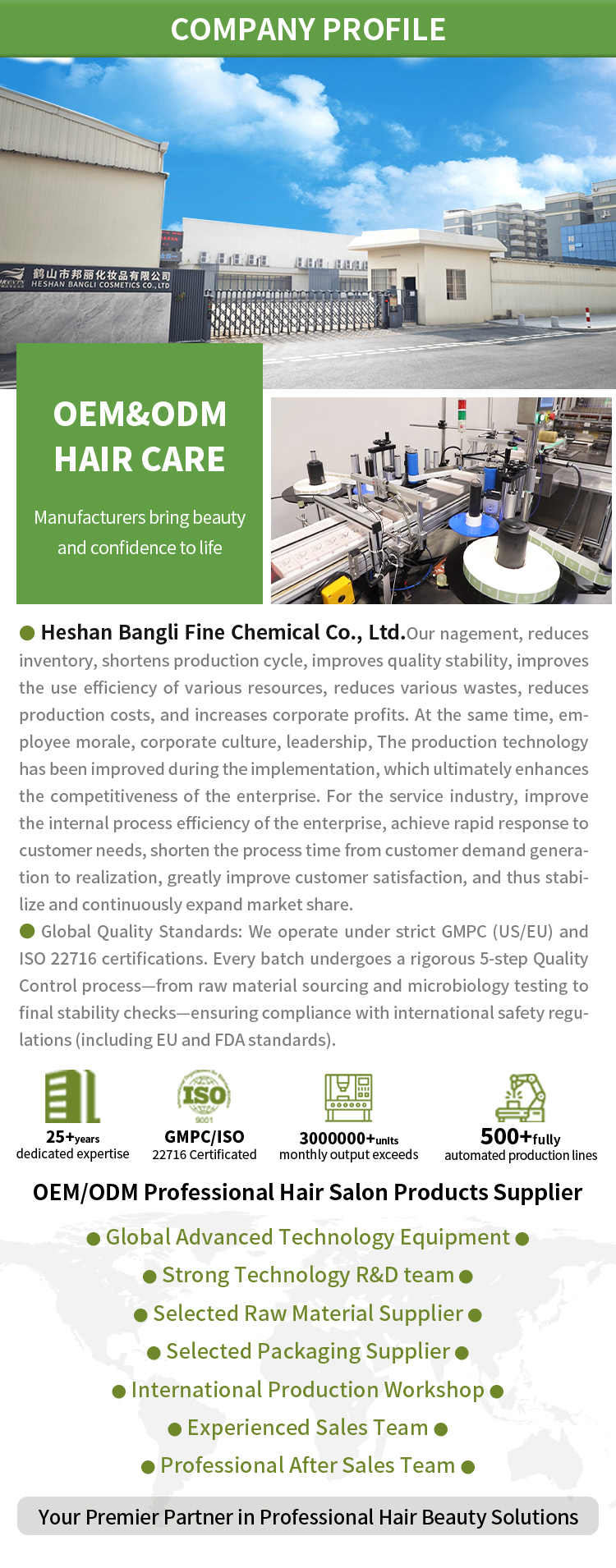 Company Overview
