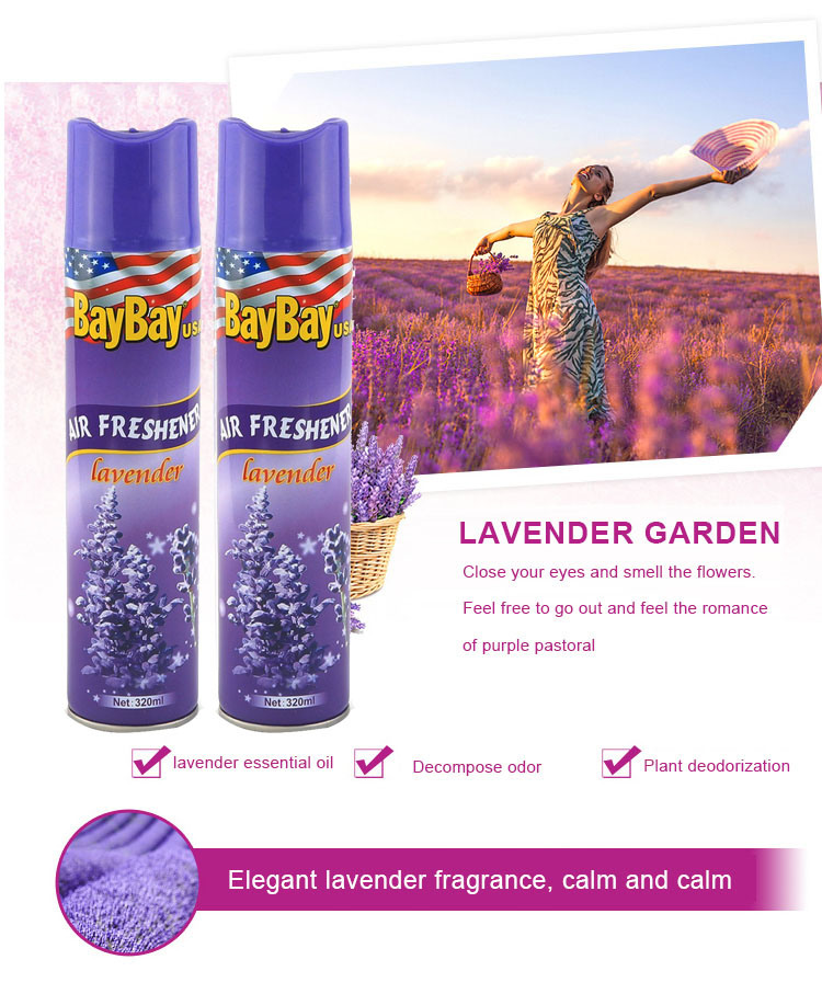 Air Freshener Details 2