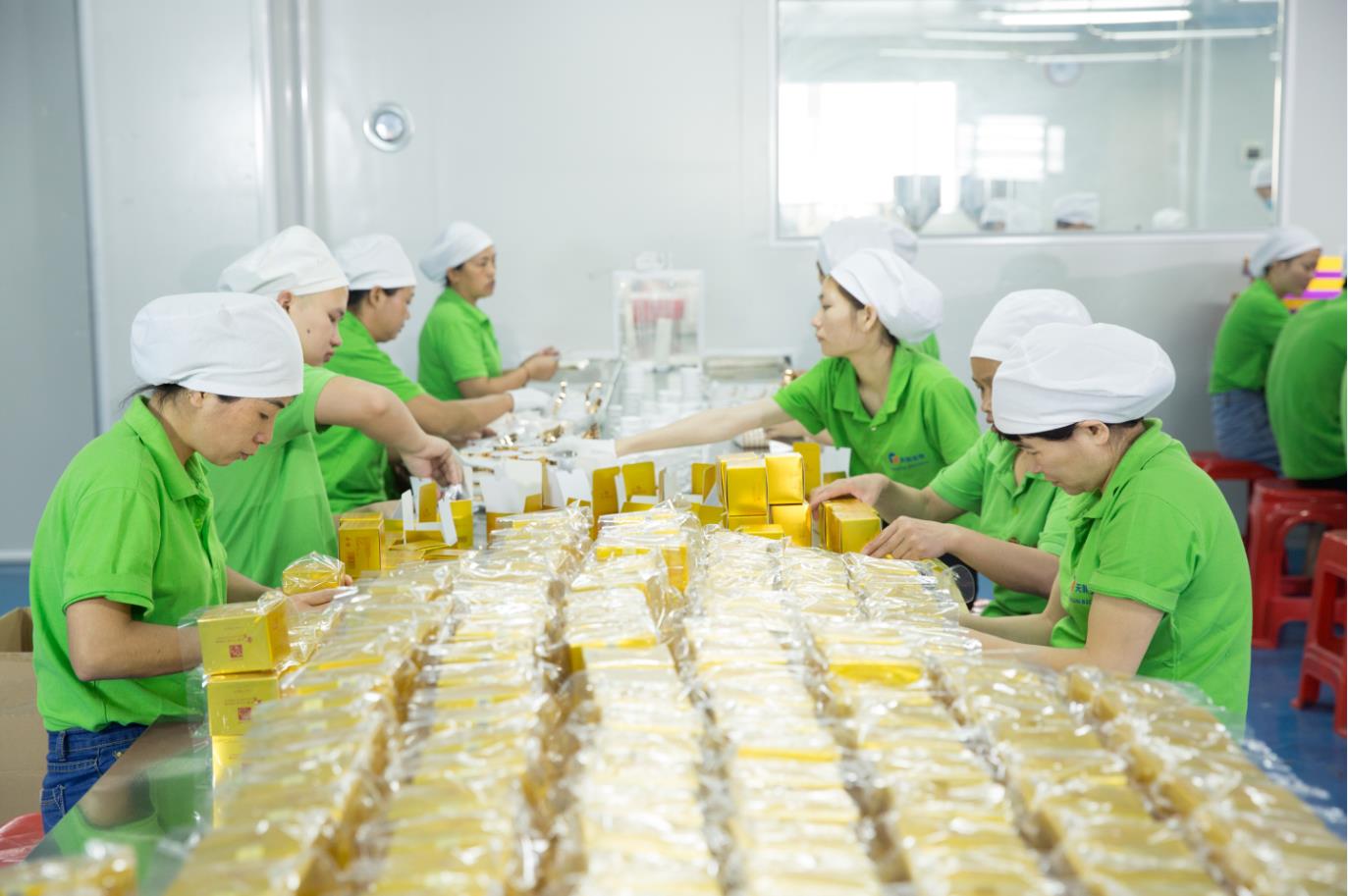 Manufacturing Technique 1