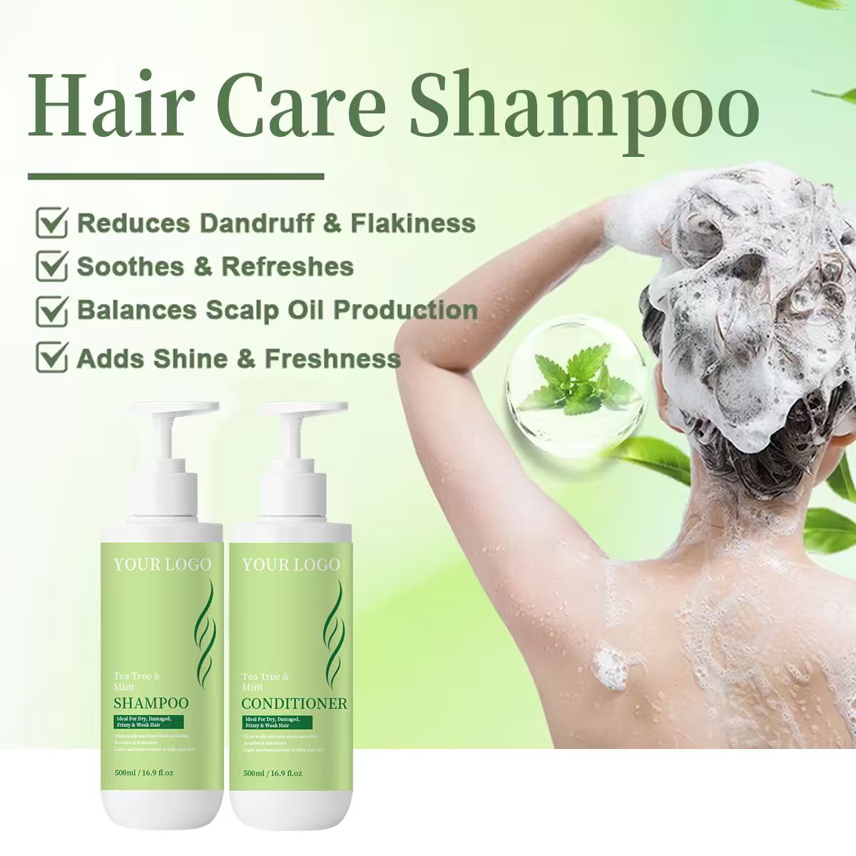 OEM ODM Mint &amp; Tea Tree Shampoo with Anti-Dandruff &amp; Scalp Treatment for Oily Hair, Factory Price