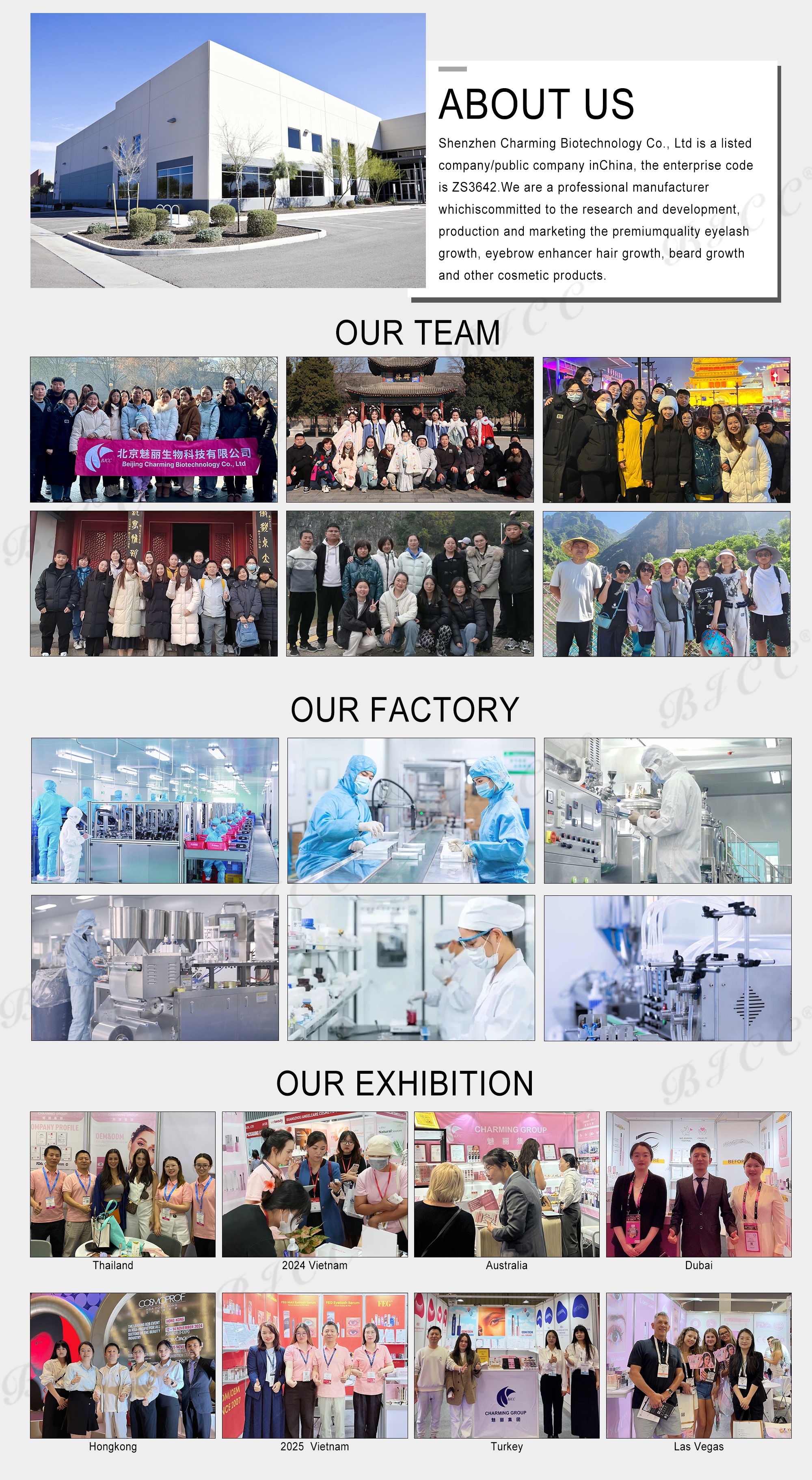 Company Profile Overview 1