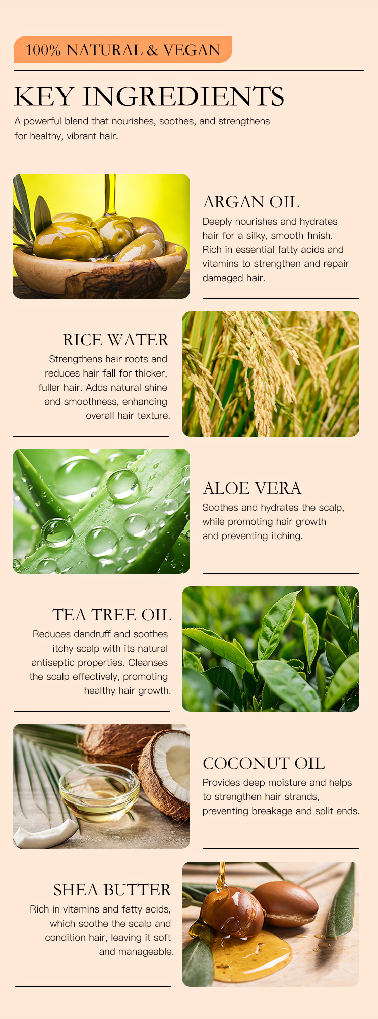 Wholesale Organic Natural Moisturizing Fluffy Shampoo Conditioner Private Label Sulfate Free Argan Oil Coconut Tea Tree Shampoo