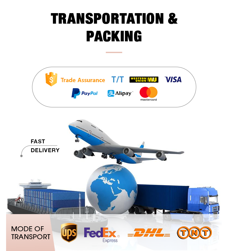 Company Profile 8