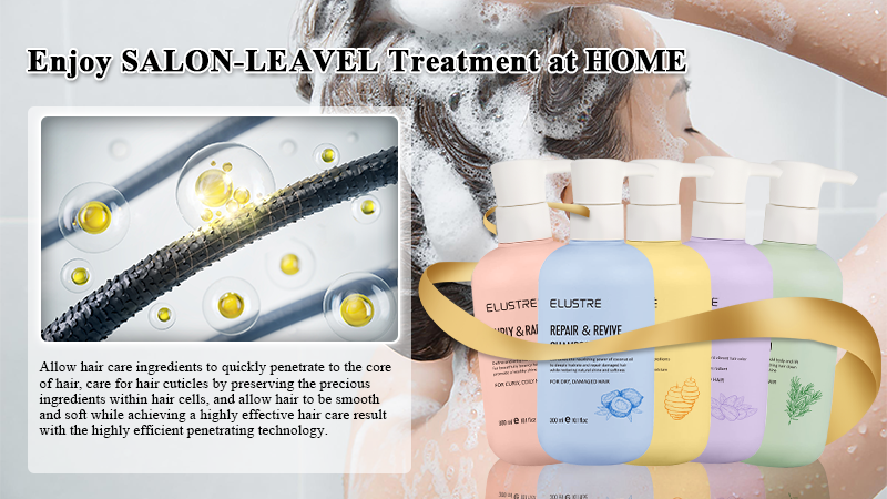 Private Label Moisturizing Dye Treatment Deep Nourishing Hydrating Argan Oil Organic Color Safe Protect Shampoo Conditioner Oily