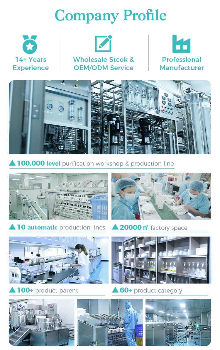 Company Overview 1