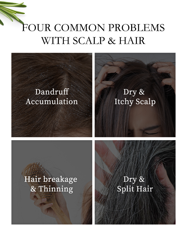 Wholesale Organic Natural Moisturizing Fluffy Shampoo Conditioner Private Label Sulfate Free Argan Oil Coconut Tea Tree Shampoo